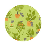 3.5 meters left! - Mischievous Kitty in Pistacio - Here Kitty Kitty Collection - Moda Fabrics