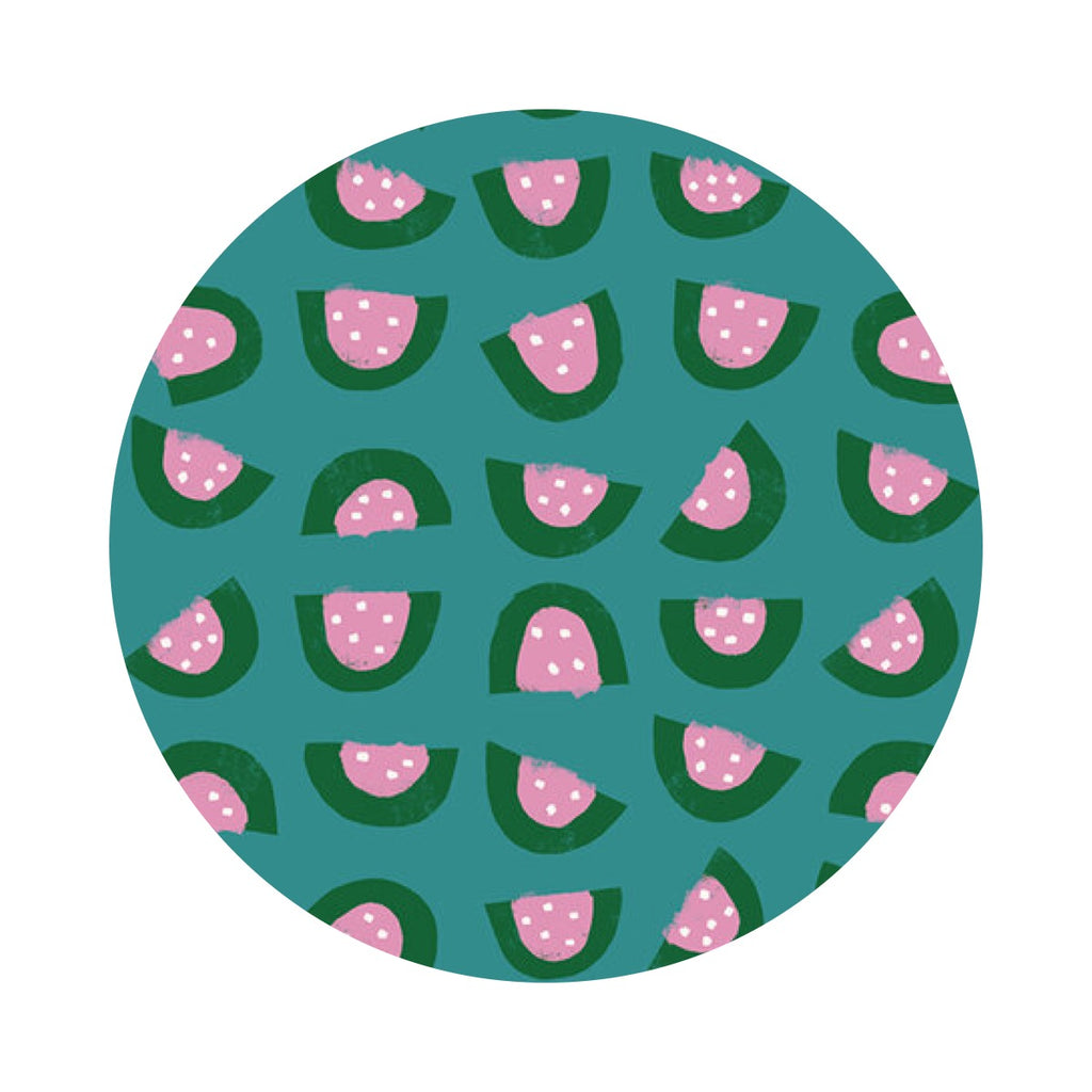 Watermelon in Succulent - Food Group Collection - Ruby Star Society