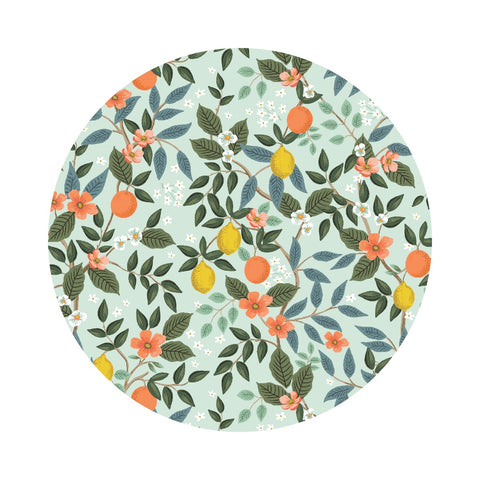 1 meter left! - Citrus Grove in Mint - Bramble by Rifle Paper Co. - Cotton + Steel Fabrics
