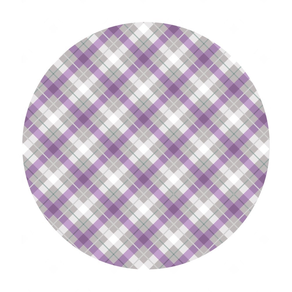 1.5 meters left! - Light Iona Check with Silver Metallic - Iona Collection - Lewis & Irene Fabrics