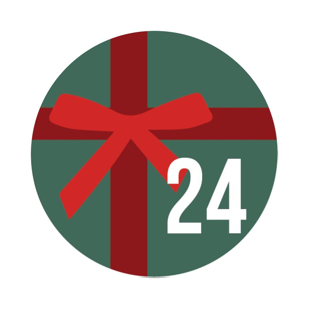 Day 24
