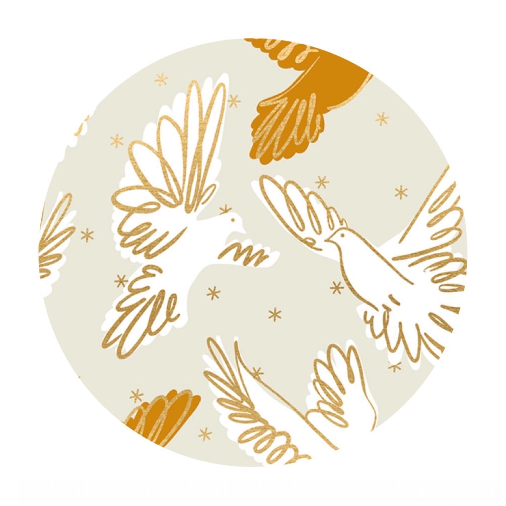3.5 meters left! - Fly in Shell - Rise Collection - Melody Miller - Ruby Star Society