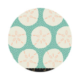 Sand Dollars in Water - Florida Volume 2 Collection - Ruby Star Society