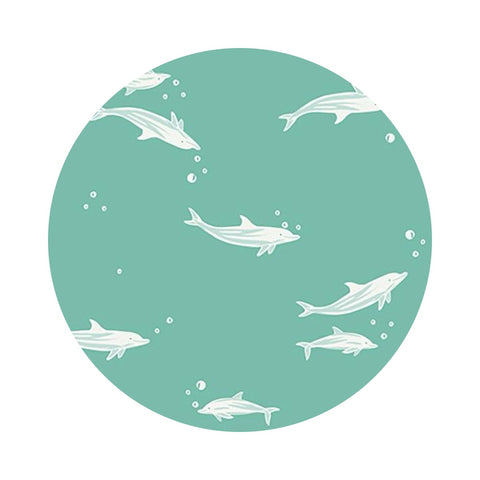 Dolphins in Aqua - Florida Volume 2 Collection - Ruby Star Society