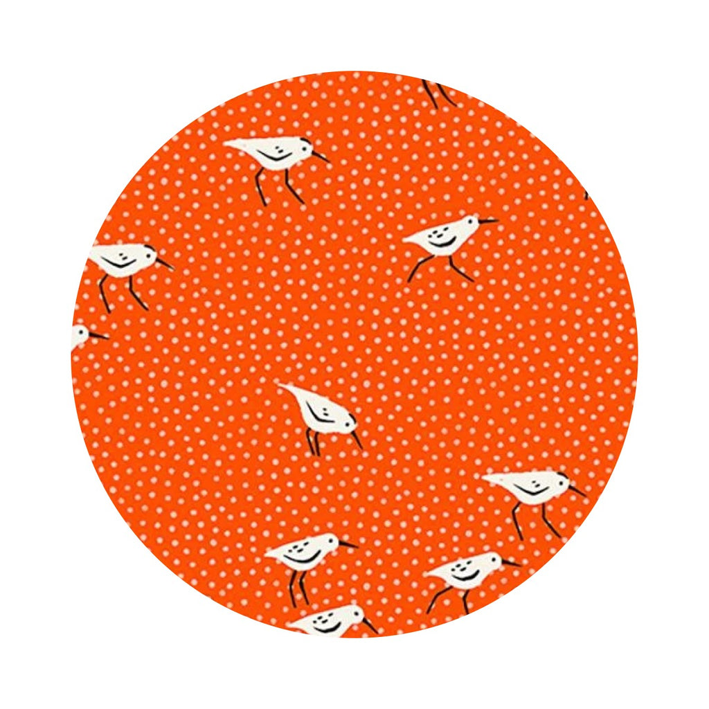 Piper in Florida - Florida Volume 2 Collection - Ruby Star Society (Copy)