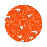 Piper in Florida - Florida Volume 2 Collection - Ruby Star Society (Copy)