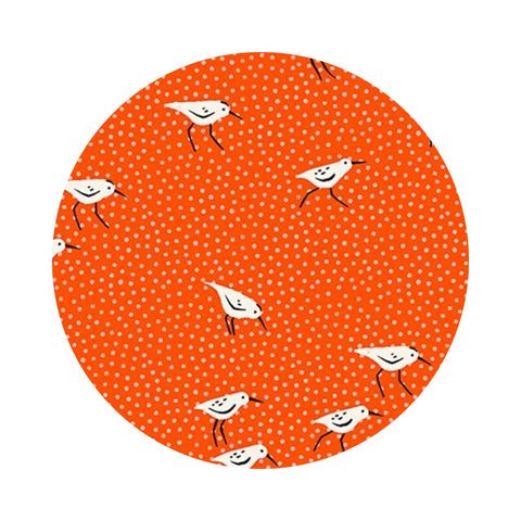 Piper in Florida - Florida Volume 2 Collection - Ruby Star Society (Copy)