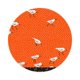 Piper in Florida - Florida Volume 2 Collection - Ruby Star Society (Copy)