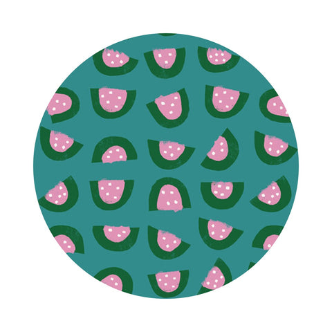 Watermelon in Succulent - Food Group Collection - Ruby Star Society