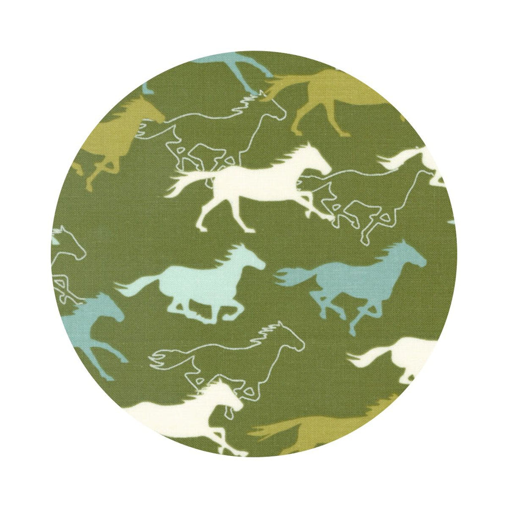 Open Range in Cactus - Ponderosa Collection - Moda Fabrics