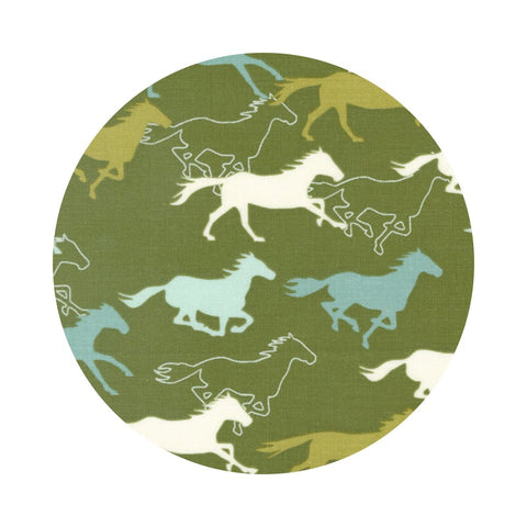 Open Range in Cactus - Ponderosa Collection - Moda Fabrics