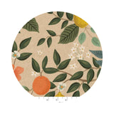 Citrus Grove in Natural Unbleached Canvas - Bramble Collection by Rifle Paper Co. - Cotton + Steel Fabrics