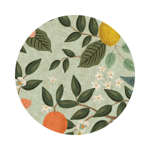 Citrus Grove in Mint Unbleached Canvas - Bramble Collection by Rifle Paper Co. - Cotton + Steel Fabrics
