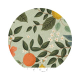 Citrus Grove in Mint Unbleached Canvas - Bramble Collection by Rifle Paper Co. - Cotton + Steel Fabrics