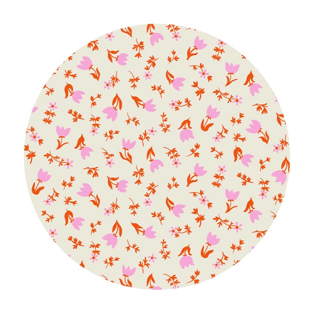 1.5 meters left! - Tulip Calico in Shell - Smol Collection - Kimberly Kight - Ruby Star Society