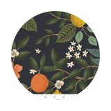 Citrus Grove in Navy Unbleached Canvas - Bramble Collection by Rifle Paper Co. - Cotton + Steel Fabrics